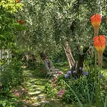 Διαμέρισμα In Riva Al Di Iseo Dependance Piano Terra
