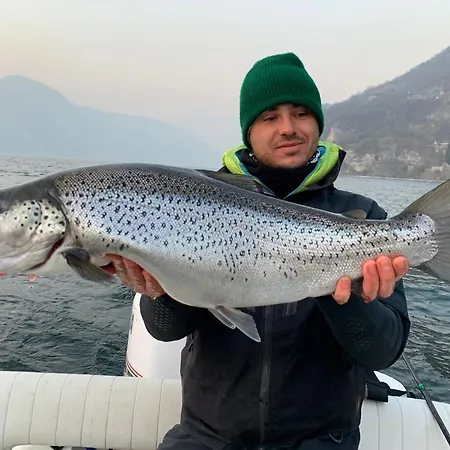 Appartamento In Riva Al Di Iseo Dependance Piano Terra Marone
